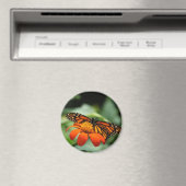 Monarch Butterfly Magnet (In Situ (Geschirrspüler))