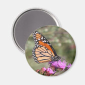 Monarch Butterfly Magnet (Vorderseite/Rückseite)