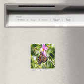 Monarch Butterfly Magnet (In Situ (Geschirrspüler))
