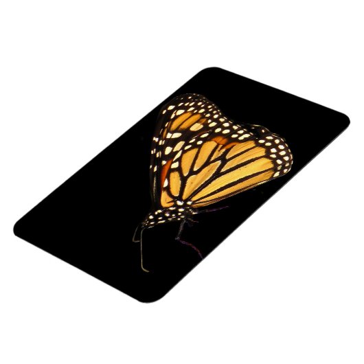 Monarch Butterfly Magnet (Linke Seite)