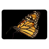 Monarch Butterfly Magnet (Horizontal)