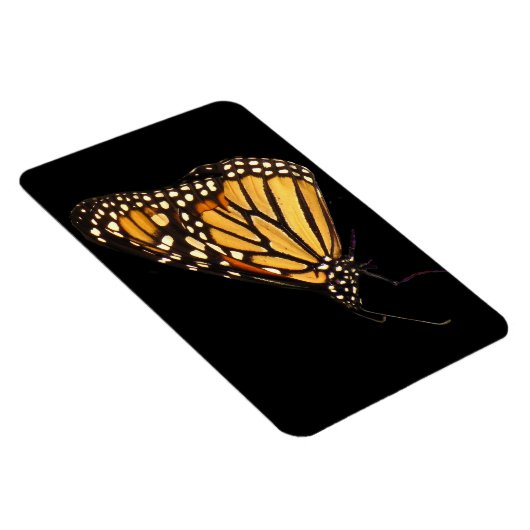 Monarch Butterfly Magnet (Rechte Seite)
