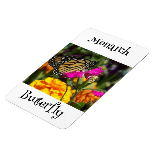 Monarch Butterfly Magnet (Linke Seite)