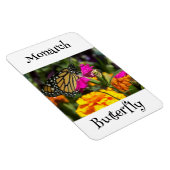 Monarch Butterfly Magnet (Rechte Seite)