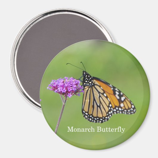 Monarch Butterfly-Magnet Magnet (Vorderseite/Rückseite)