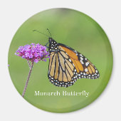 Monarch Butterfly-Magnet Magnet (Vorne)