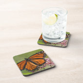 Monarch Butterfly-Männchen auf Sumpf-Milkweed Getränkeuntersetzer (Rechte Seite)