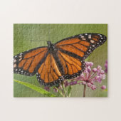 Monarch Butterfly-Männchen auf Sumpf-Milkweed Puzzle (Horizontal)