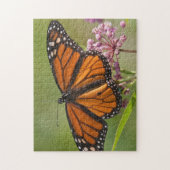 Monarch Butterfly-Männchen auf Sumpf-Milkweed Puzzle (Vertikal)