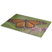 Monarch Butterfly-Männchen auf Sumpf-Milkweed Schneidebrett (Ecke)