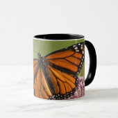 Monarch Butterfly-Männchen auf Sumpf-Milkweed Tasse (VorderseiteRechts)