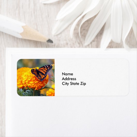 Monarch Butterfly Marigold Foto (Insitu)