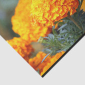 Monarch Butterfly Marigold Foto Seidenpapier (Ausschnitt)