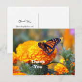 Monarch Butterfly Marigold Foto Vielen Dank Postkarte (Vorne/Hinten)
