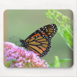 Monarch Butterfly Mouse Pad Mousepad