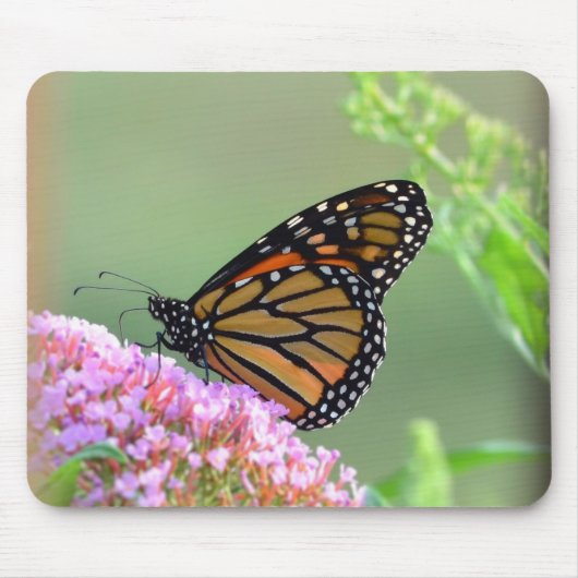 Monarch Butterfly Mouse Pad Mousepad (Vorne)