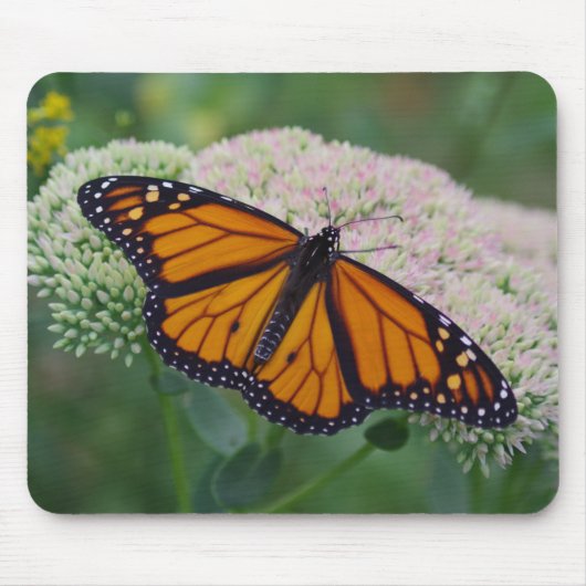 Monarch Butterfly Mouse Pad Mousepad (Vorne)