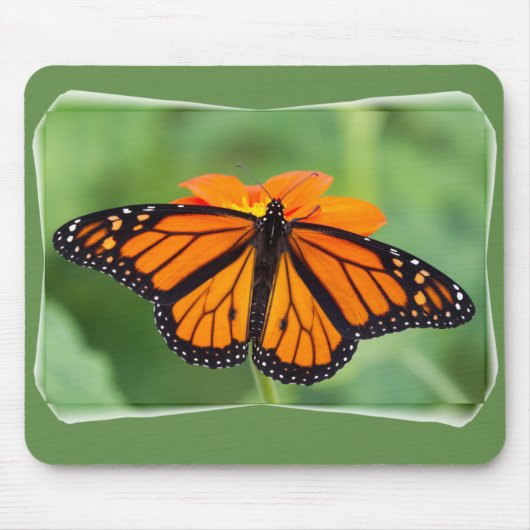 Monarch Butterfly Mousepad (Vorne)