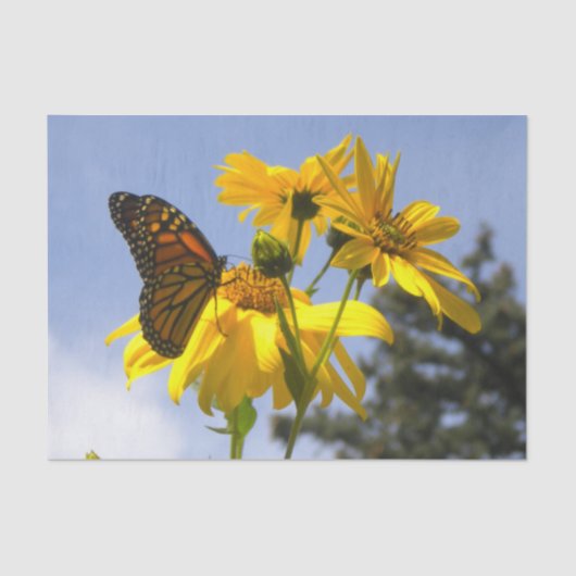 Monarch Butterfly N Sonnenblumen Seidenpapier (Vorderseite)