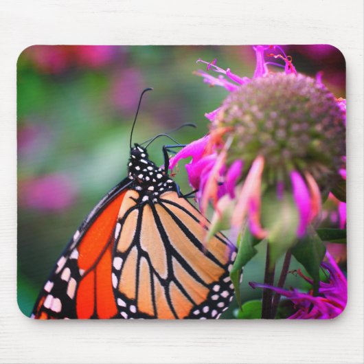 Monarch Butterfly Nature Mousepad (Vorne)