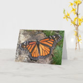 Monarch Butterfly-Note Karte (Gelbe Blume)