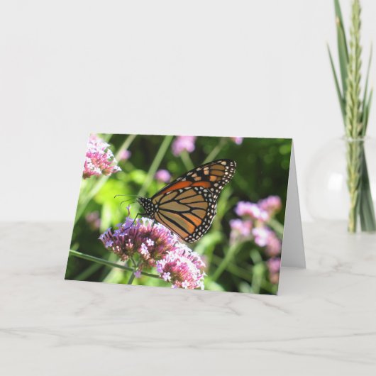Monarch Butterfly Notecard Karte (Vorderseite)