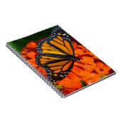 Monarch Butterfly Notizblock (Rechte Seite)