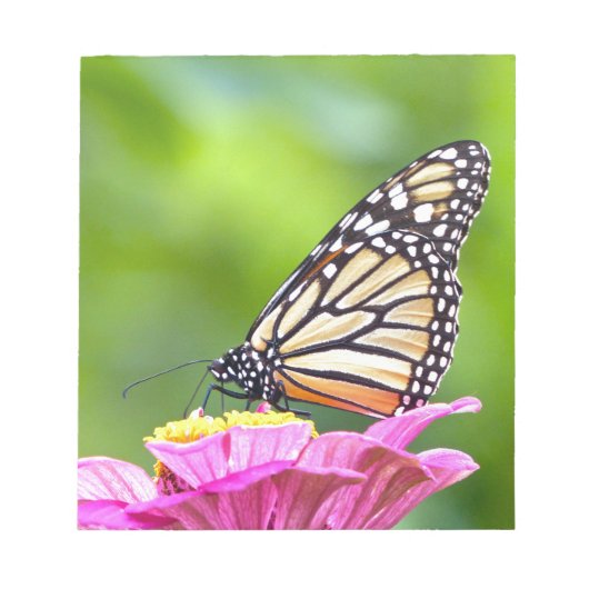 Monarch Butterfly Notizblock (Vorderseite)