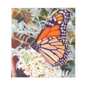Monarch Butterfly Notizblock (Vorderseite)