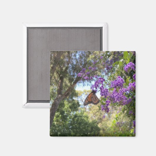 Monarch Butterfly on Purple Flowers Magnet (Vorderseite/Rückseite)