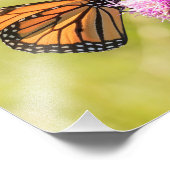 Monarch Butterfly on Thistle Fotodruck (Ecke)