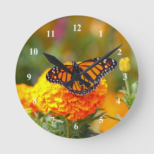 Monarch Butterfly Orange Marigold Foto Runde Wanduhr (Vorderseite)