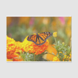 Monarch Butterfly Orange Marigold Foto Seidenpapier