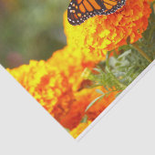 Monarch Butterfly Orange Marigold Foto Seidenpapier (Ausschnitt)
