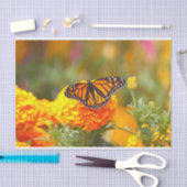 Monarch Butterfly Orange Marigold Foto Seidenpapier (Handwerk)