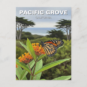 Monarch Butterfly Pacific Grove California Postkarte