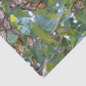 Monarch Butterfly-Papierpapier Seidenpapier (Detail)