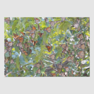 Monarch Butterfly-Papierpapier Seidenpapier