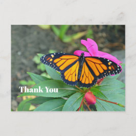 Monarch Butterfly Pink Floral Foto Vielen Dank Postkarte