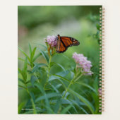 Monarch Butterfly Planer (Rückseite)