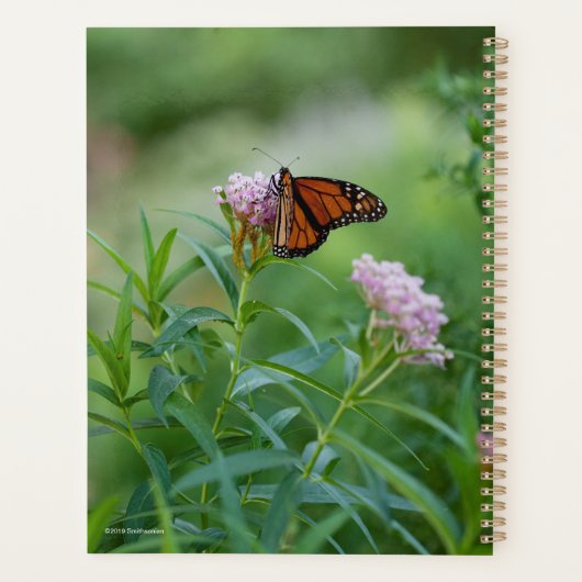Monarch Butterfly Planer (Rückseite)
