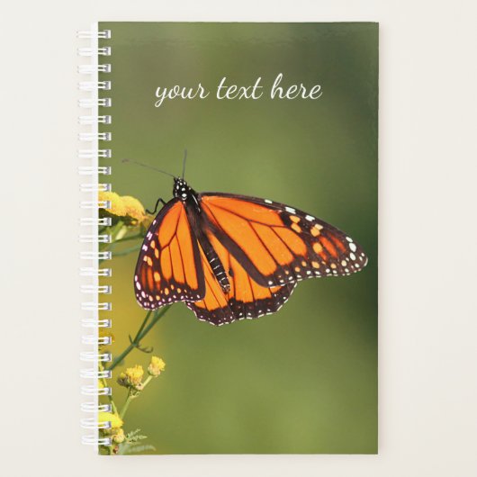 Monarch Butterfly Planer (Vorderseite)