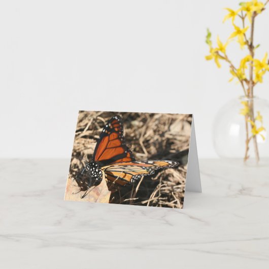 Monarch Butterfly Posing Nature Photography Note Karte (Gelbe Blume)