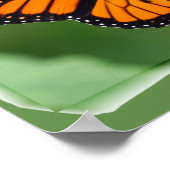 Monarch Butterfly Poster (Ecke)