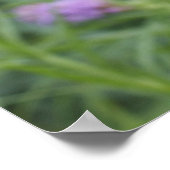 Monarch Butterfly Poster (Ecke)