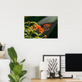 Monarch Butterfly Poster (Heimbüro)