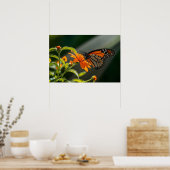 Monarch Butterfly Poster (Küche)
