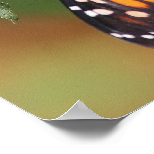 Monarch Butterfly Poster (Ecke)
