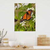 Monarch Butterfly Poster (Küche)