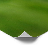 Monarch Butterfly Poster (Ecke)